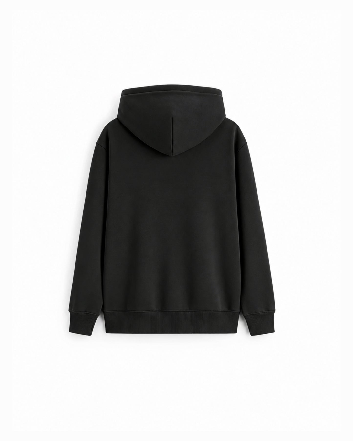 Hoodie Regular Fit